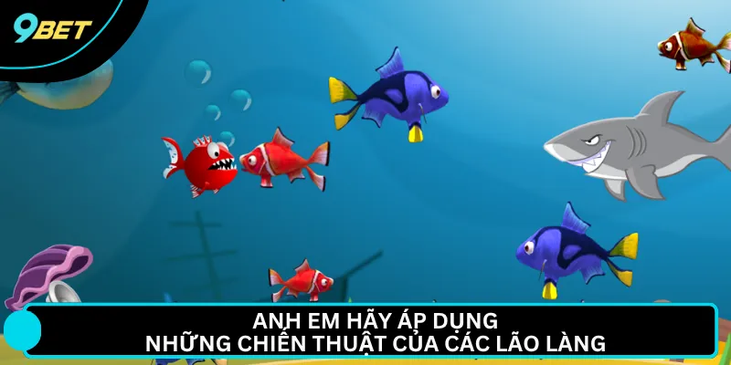Anh em hãy áp dụng những chiến thuật của các lão làng 