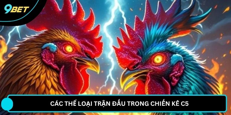 Các thể loại trận đấu trong chiến kê C5 