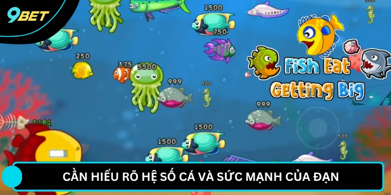 Cần hiểu rõ hệ số cá và sức mạnh của đạn 