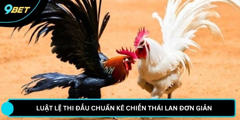  Luật lệ thi đấu chuẩn kê chiến Thái Lan đơn giản 